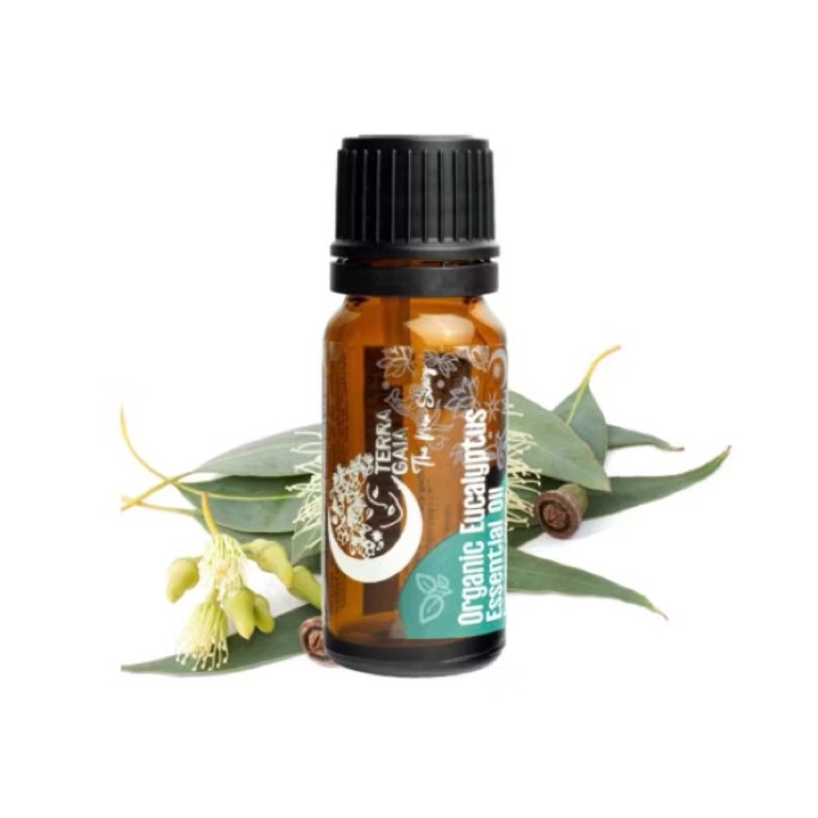 Liten flaska med ekologisk eterisk eukalyptusolja, 10 ml